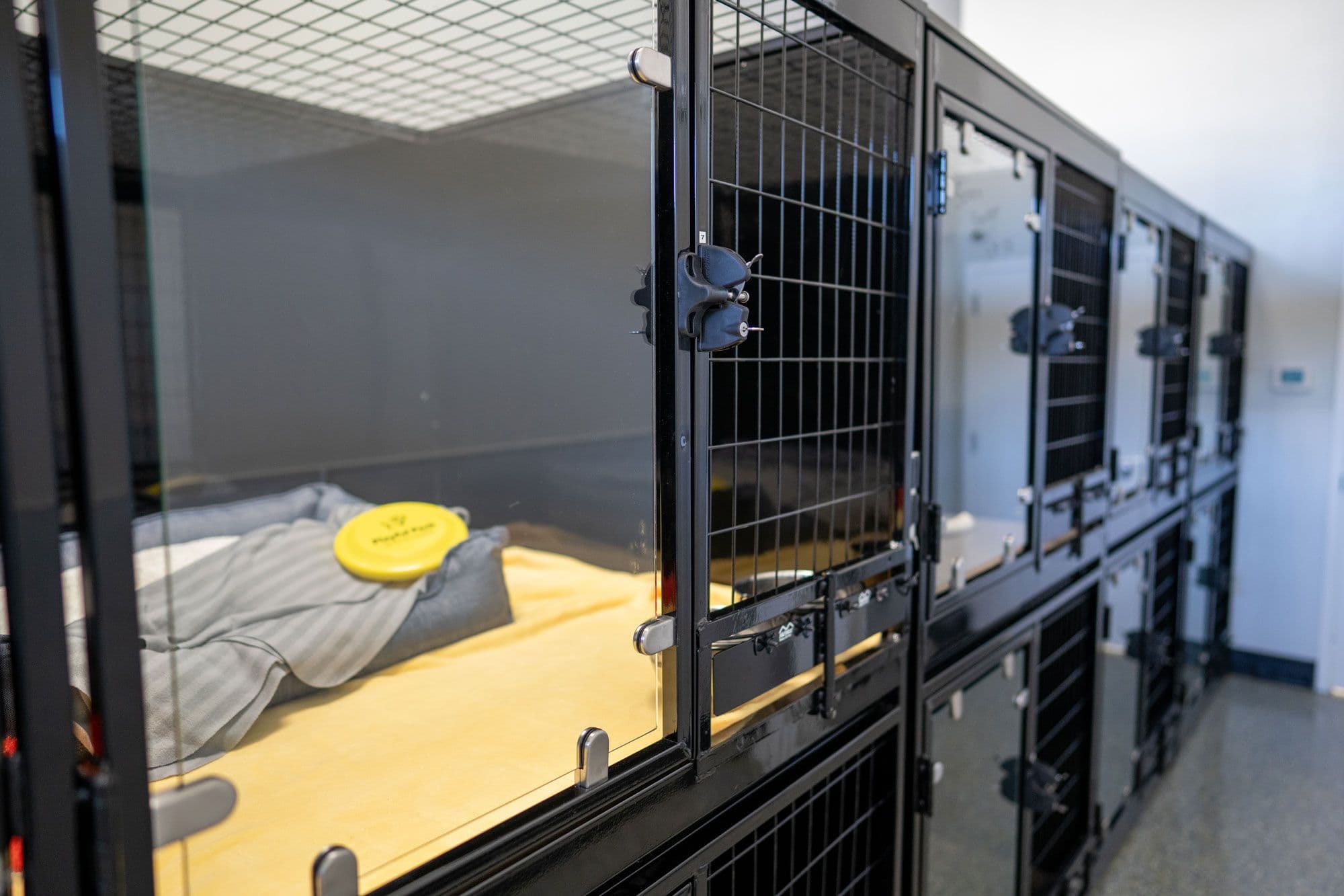 Dog boarding suites inside Playful Pack Fairfax Station location