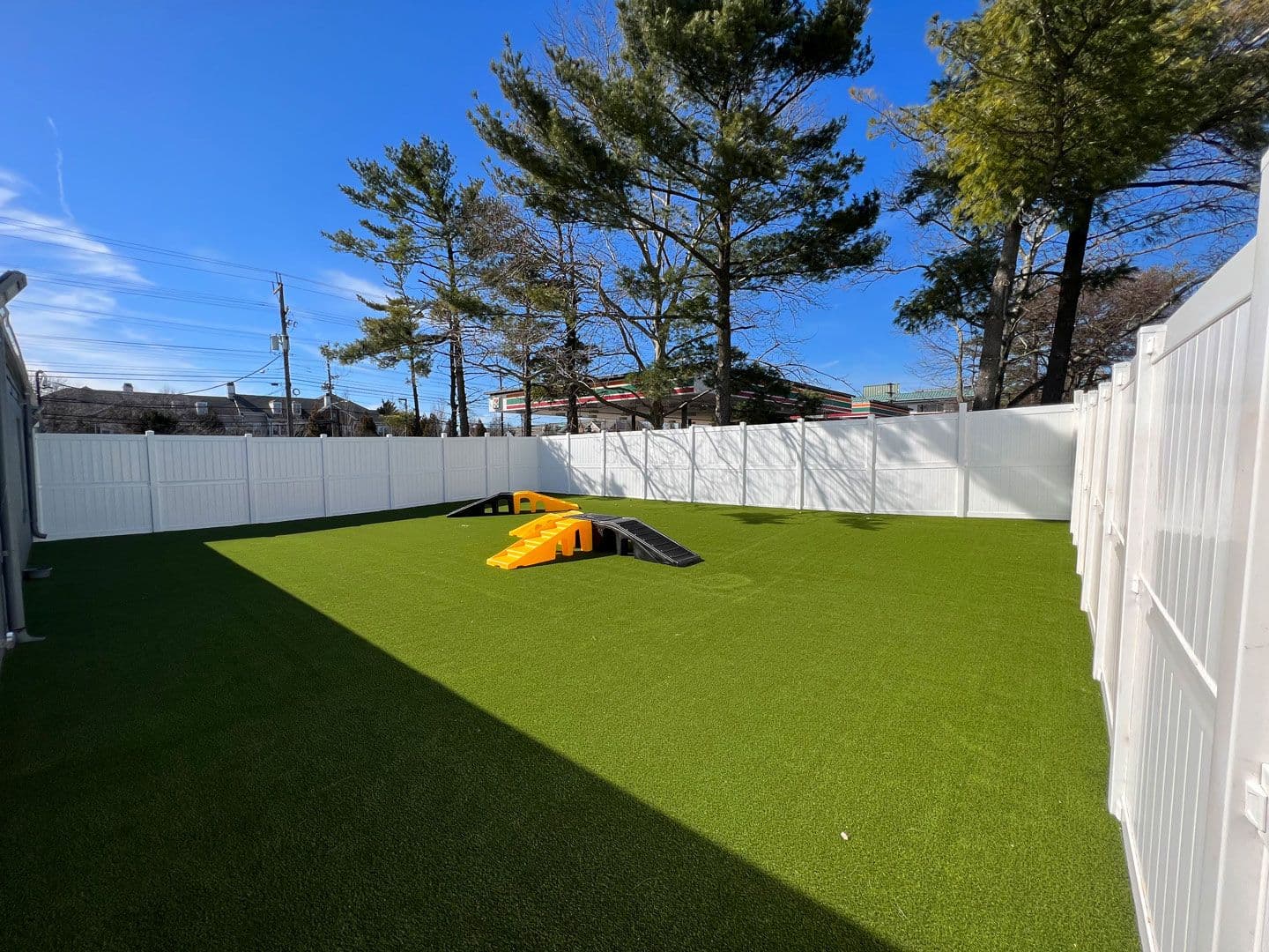 Picture of Playful Pack's Patio in Rockville, MD